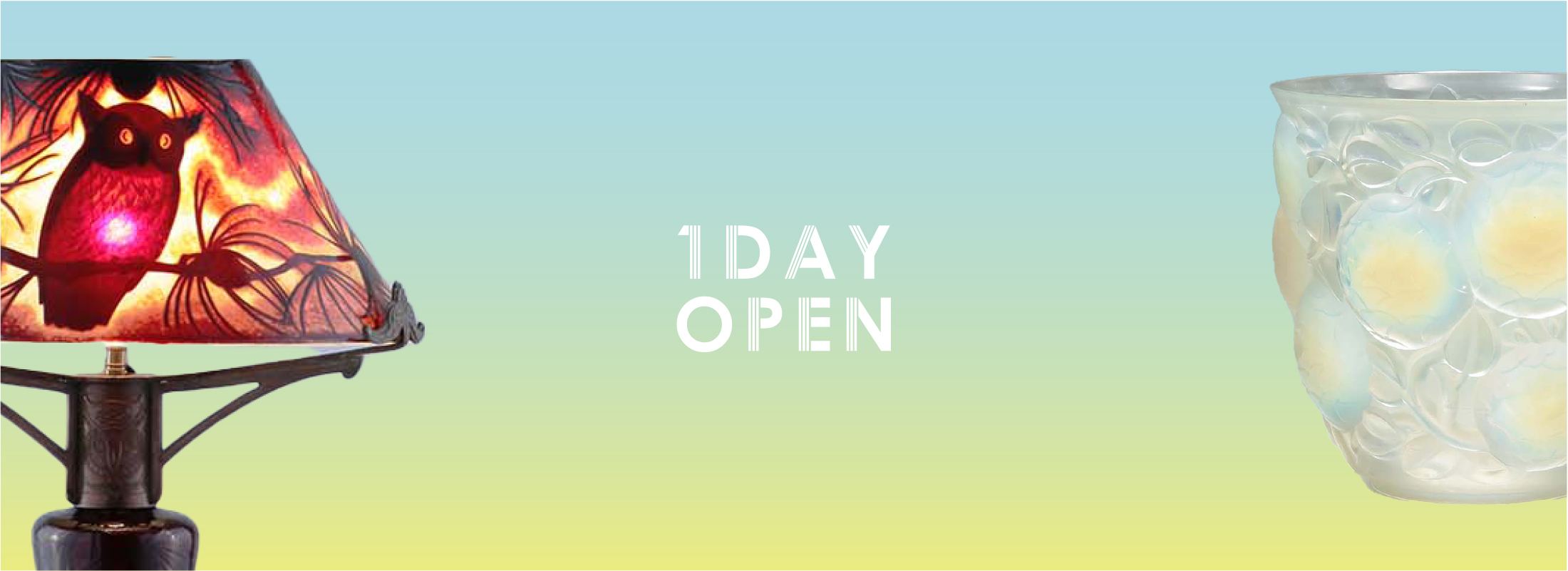 1DAY OPNE
